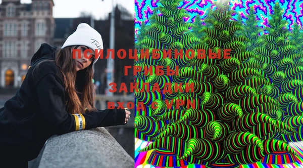 мдпв Горно-Алтайск