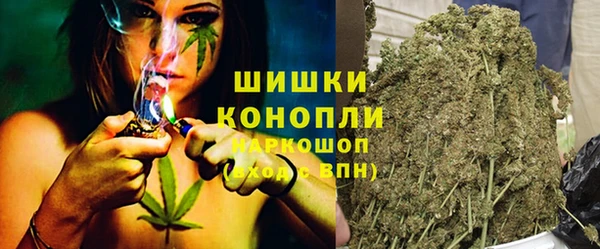 мдпв Горно-Алтайск