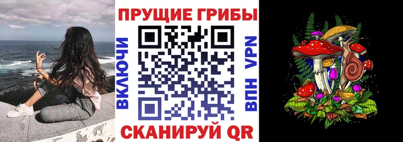 Купить где  Новочеркасск  Галлюциногенные грибы MAGIC MUSHROOMS 
